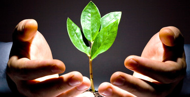 Solutions créateur d'entreprise