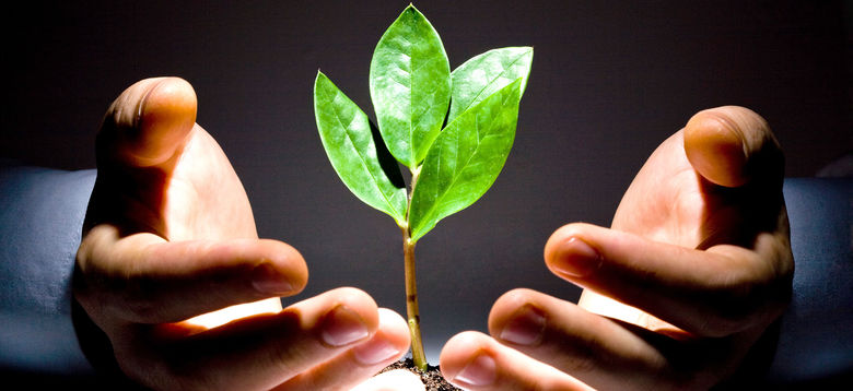 Solutions créateur d'entreprise
